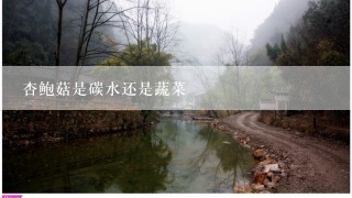 杏鲍菇是碳水还是蔬菜