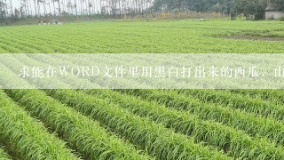 求能在WORD文件里用黑白打出来的西瓜，山楂和西红柿