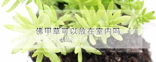 什么蔬菜可以做沙拉