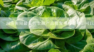 湖南衡阳最大的农副产品批发市场在哪，可以批发辣椒和水果的