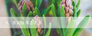 养蚕技术怎么养