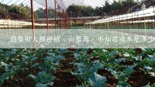 想要用大棚种植一亩藜蒿，不知道成本是多少钱？