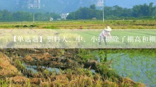 【单选题】塑料大、中、小拱棚除了棚高和棚宽有明显差别外,()也差别比较大。