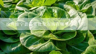 徐州睢宁县蔬菜批发市场在哪里？