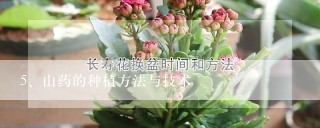 山药的种植方法与技术