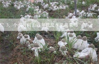 个人可以去万邦批发水果蔬菜吗