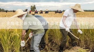 青海北京新发地农副产品批发市场目前有什么优惠政策