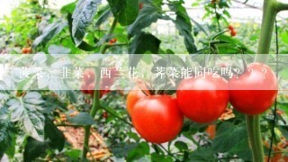 菠菜，韭菜，西兰花，荠菜能同吃吗？？？