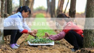 幼儿园关于蔬菜的教案一份，求急需