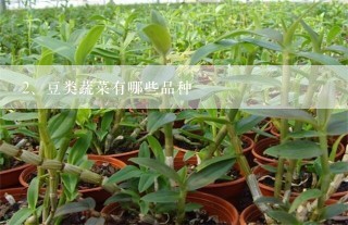 豆类蔬菜有哪些品种