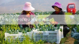 为什么中国的立秋要吃西瓜？