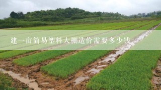 建一亩简易塑料大棚造价需要多少钱