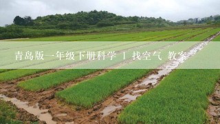 青岛版一年级下册科学 1 找空气 教案