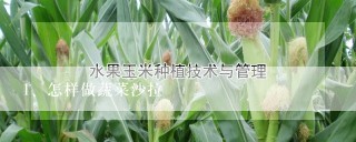 怎样做蔬菜沙拉