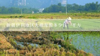 新疆伊利地区大棚覆膜多少钱一平方