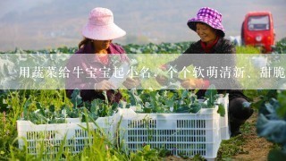 用蔬菜给牛宝宝起小名，个个软萌清新、甜脆可爱，寓