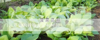 芹菜的种植方法和时间