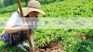 幼儿园中班蔬菜教案