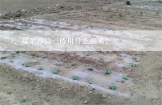 蔬菜沙拉一般用什么蔬菜？