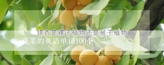 蔬菜的英语单词100个