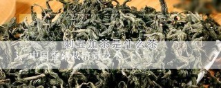 中国香菇栽培新技术