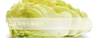 蔬菜图片和名字