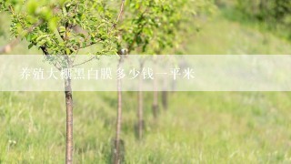 养殖大棚黑白膜多少钱一平米