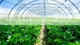 小学3年级英语单词11课雨伞蔬菜怎么读？