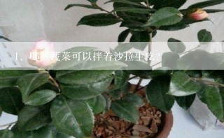 哪些蔬菜可以拌着沙拉生吃？