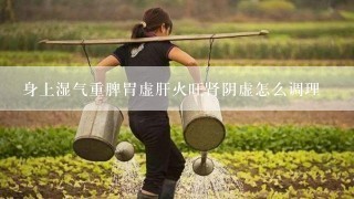 身上湿气重脾胃虚肝火旺肾阴虚怎么调理