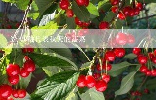 10种代表秋天的蔬菜