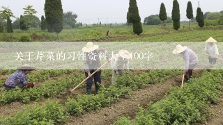 关于芹菜的习性资料大全100字