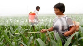 无花果的基本种植方法是什么