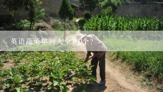 英语蔬菜单词大全100个？