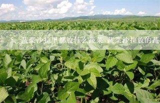 蔬菜沙拉里都放什么蔬菜 蔬菜沙拉放的蔬菜有哪些