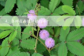 各种花卉的种植技术？