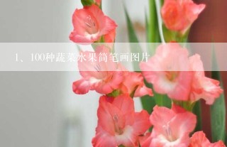 100种蔬菜水果简笔画图片