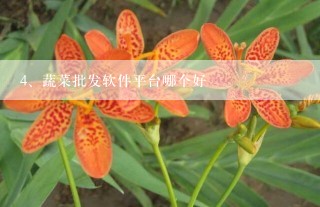 蔬菜批发软件平台哪个好