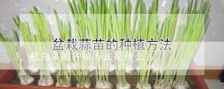 杭白菜的种植方法是什么？