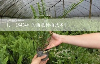 《8424》的西瓜种植技术？