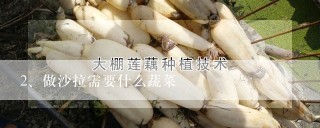 做沙拉需要什么蔬菜