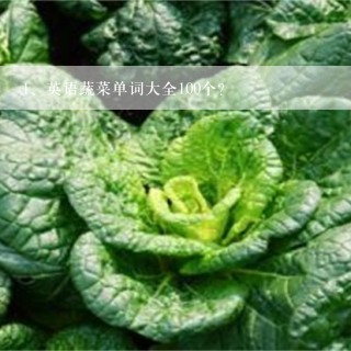 英语蔬菜单词大全100个？