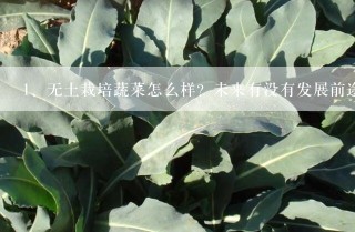 无土栽培蔬菜怎么样？未来有没有发展前途？