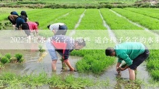 2022宝宝水果名字有哪些 适合孩子名字的水果名字