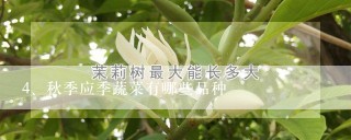 秋季应季蔬菜有哪些品种