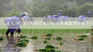 进入2011年5月份以来，全国各地蔬菜价格普遍回落。随着夏季蔬菜生产、供应旺季的到来，各地露地蔬菜将陆续大量上市...