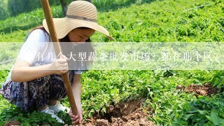 北京有几个大型蔬菜批发市场？都在那个区？