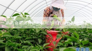 蘑菇食用菌种植大棚用办理设施农用地手续吗？能否占用基本农田？谢谢！！