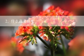 什么蔬菜好吃