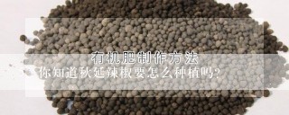 你知道秋延辣椒要怎么种植吗？